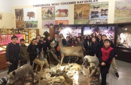 6.SINIFLAR HERBARYUM VE ZOOLOJİ GEZİSİ