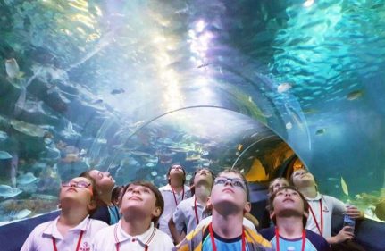 LEGOLAND VE SEA LIFE GEZİMİZ