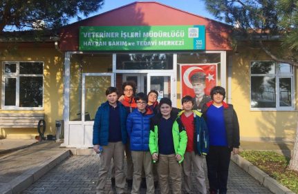 FLL -YAŞAM ORTAKLARIMIZ HAYVANLAR
